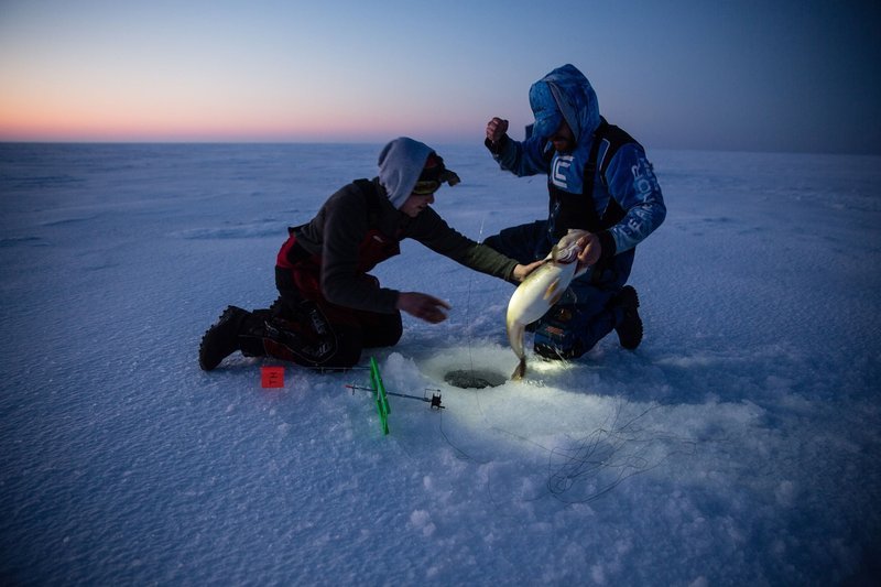Catch the Big One in UK's Most Exciting Ice Fishing Live Casino Game, ice fishing game online